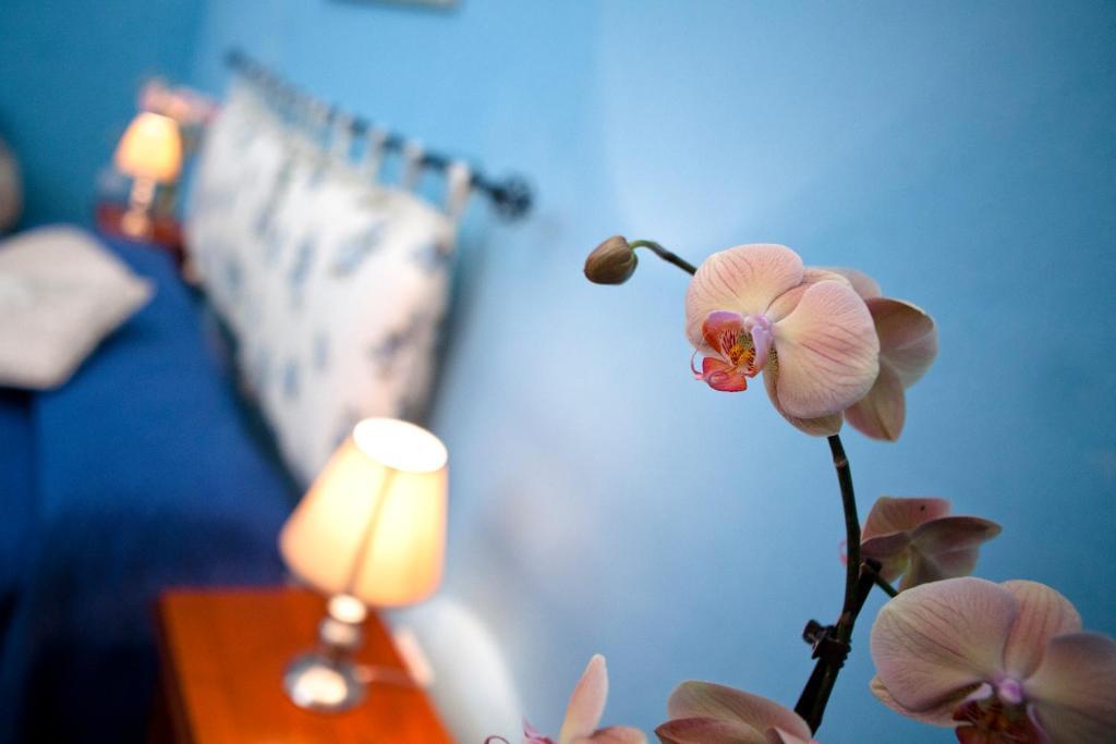 B&B Dimora San Vincenzo Галиполи Стая снимка
